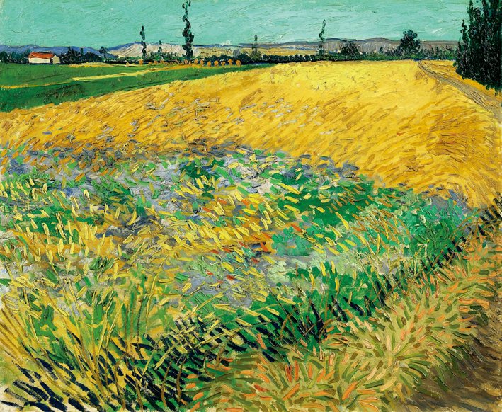  文森特·威廉·梵高  Vincent Willen Van Gogh ——麦田